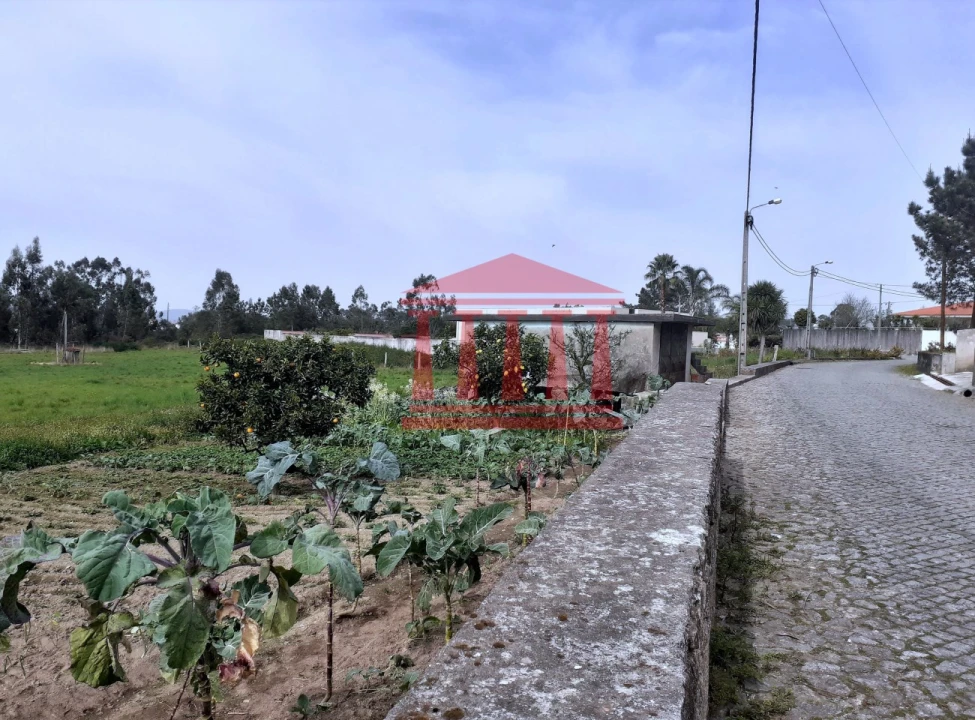 Terreno para Venda em Carvalhal Foto 11