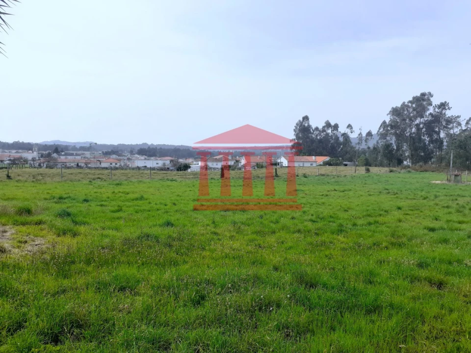 Terreno para Venda em Carvalhal Foto 15