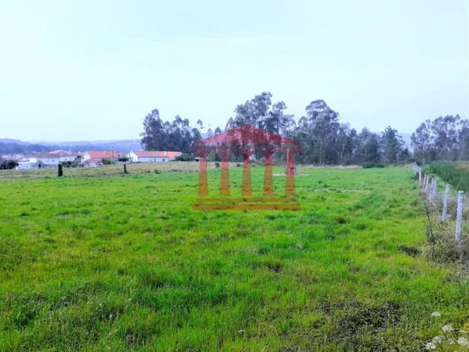 Terreno para Venda em Carvalhal Foto 16