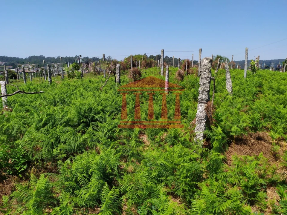 Terreno para Venda em Silveiros e Rio Covo (Santa Eulália) Foto 7