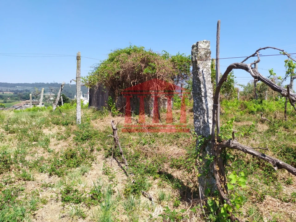 Terreno para Venda em Silveiros e Rio Covo (Santa Eulália) Foto 13