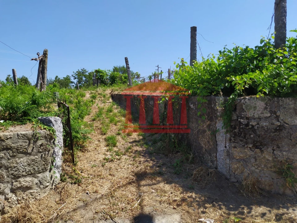 Terreno para Venda em Silveiros e Rio Covo (Santa Eulália) Foto 19