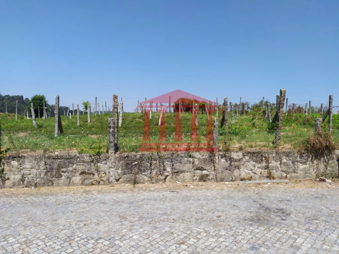 Terreno para Venda em Silveiros e Rio Covo (Santa Eulália) Foto 1