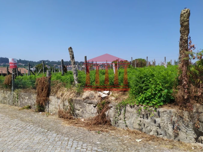 Terreno para Venda em Silveiros e Rio Covo (Santa Eulália) Foto 2