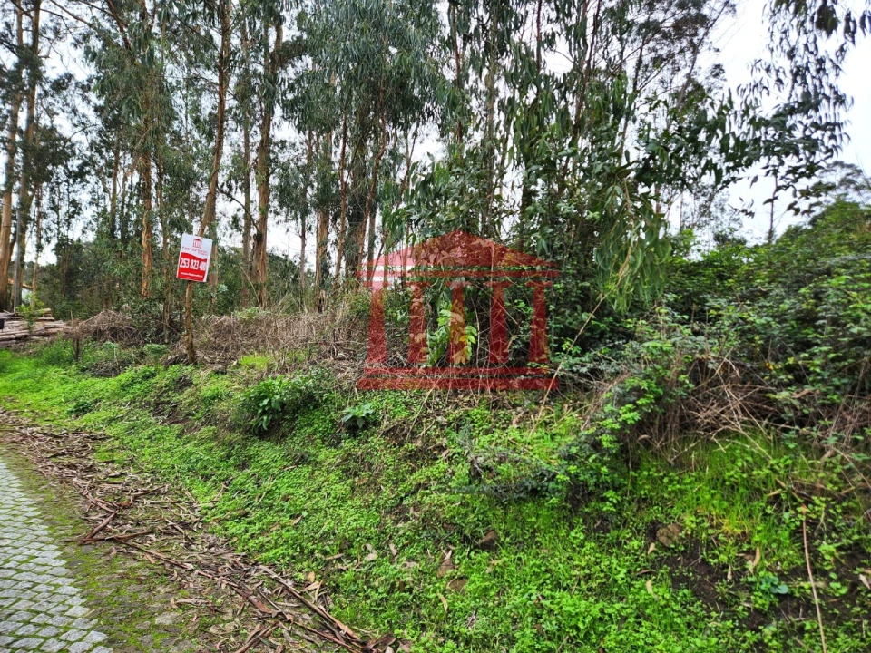 Terreno para Venda em Chorente, Góios, Courel, Pedra Furada e Gueral Foto 6