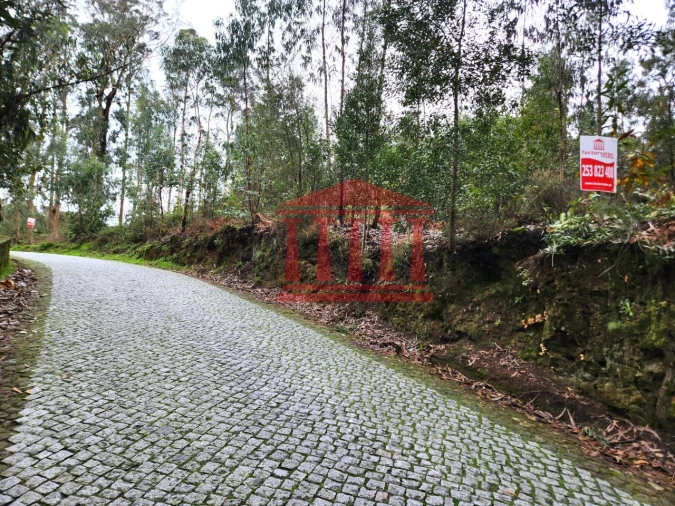 Terreno para Venda em Chorente, Góios, Courel, Pedra Furada e Gueral Foto 2