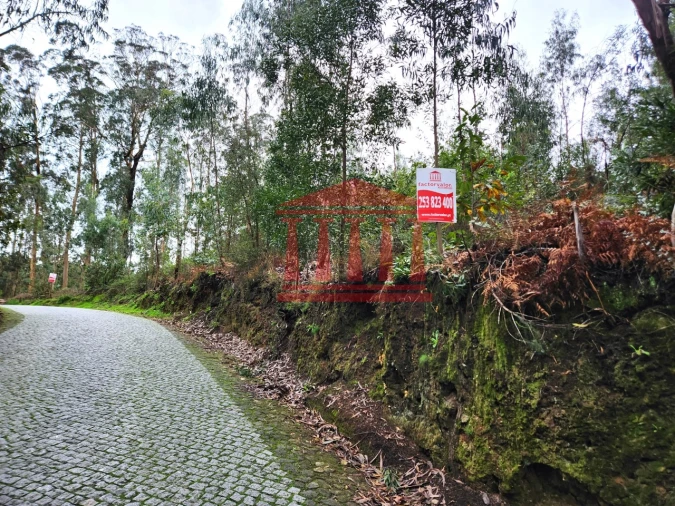 Terreno para Venda em Chorente, Góios, Courel, Pedra Furada e Gueral Foto 5
