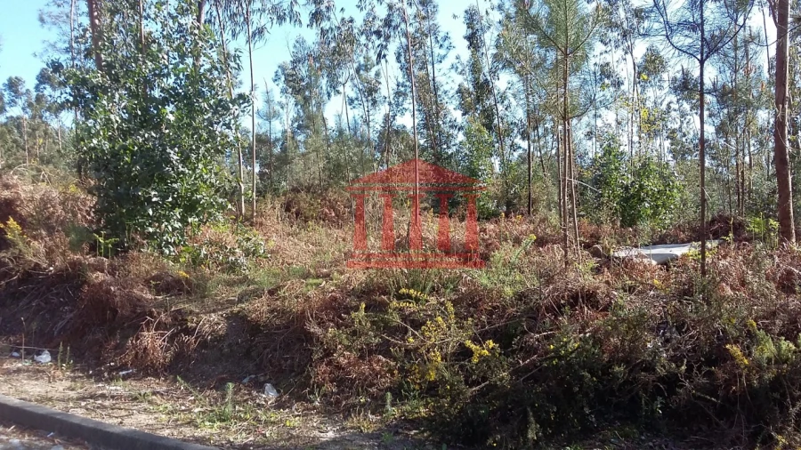 Terreno para Venda em Remelhe Foto 1