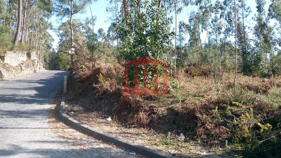 Terreno para Venda em Remelhe Foto 3