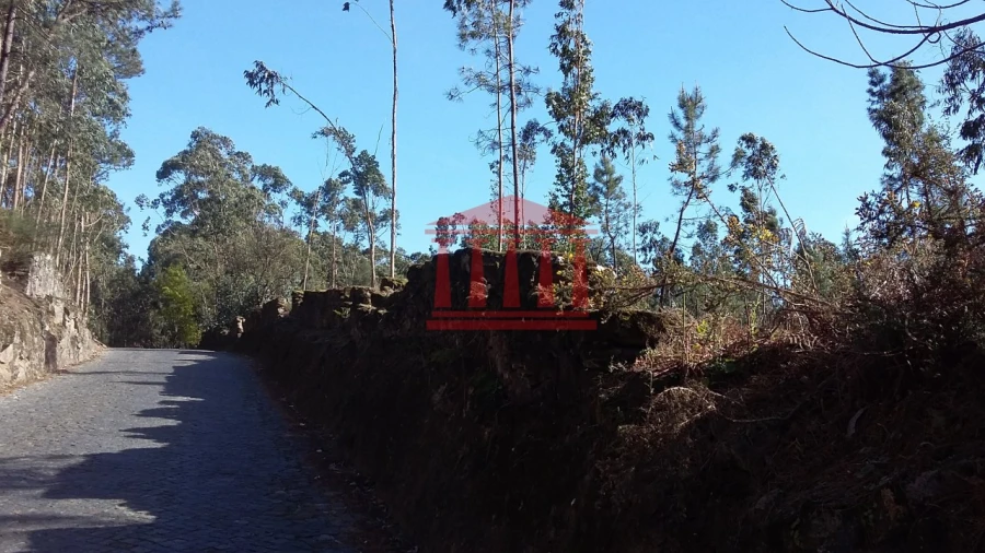 Terreno para Venda em Remelhe Foto 4