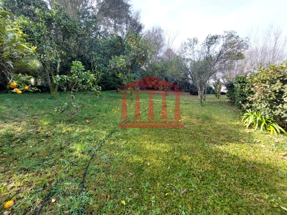 Quinta T4 para Venda em Barcelinhos Foto 54