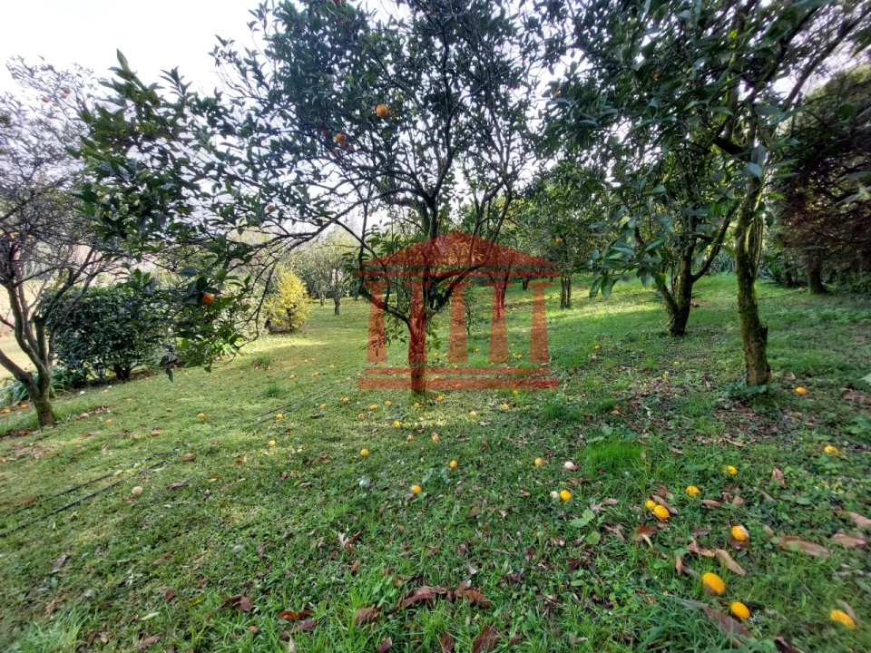 Quinta T4 para Venda em Barcelinhos Foto 55