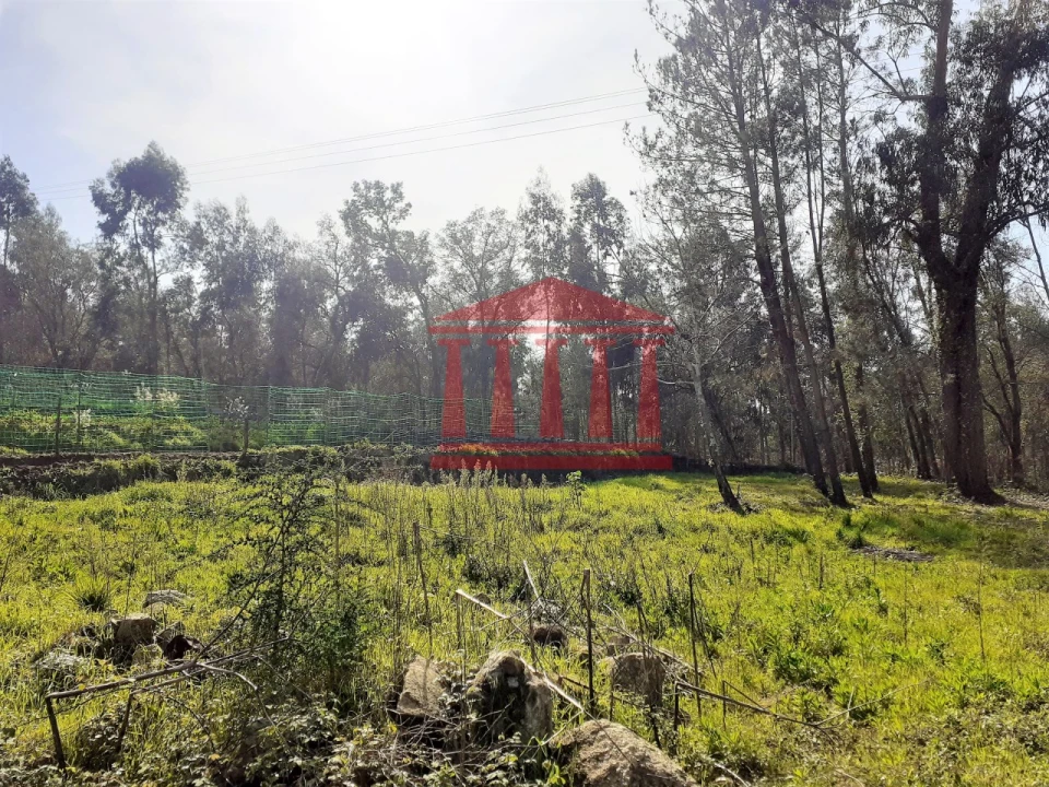 Moradia para Venda em Adães Foto 14