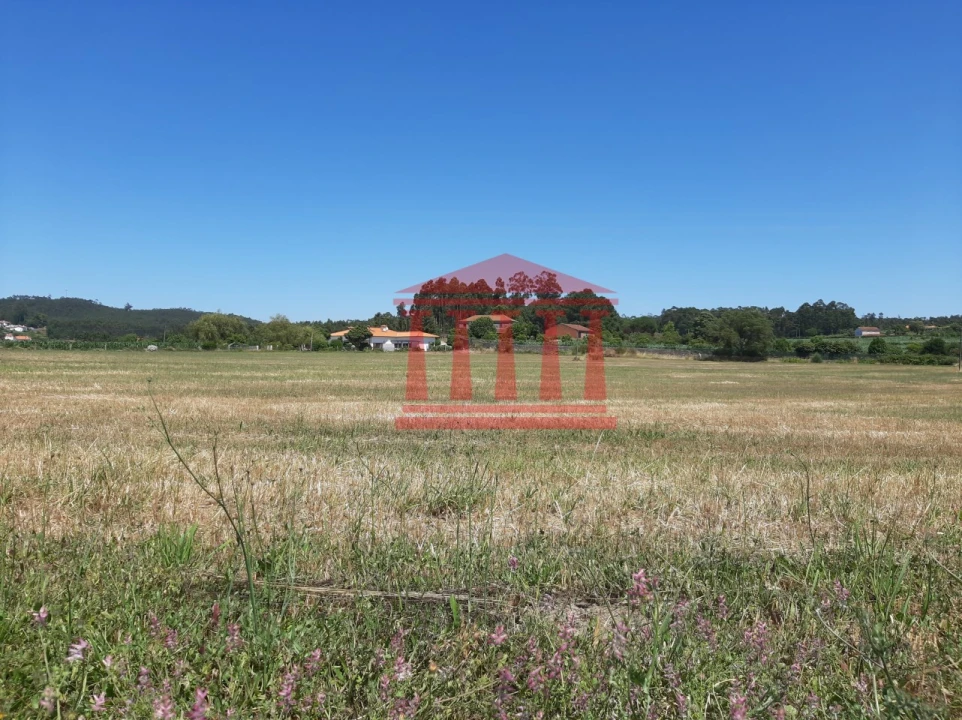 Terreno para Venda em Barcelos, V.Boa, V.Frescainha Foto 3