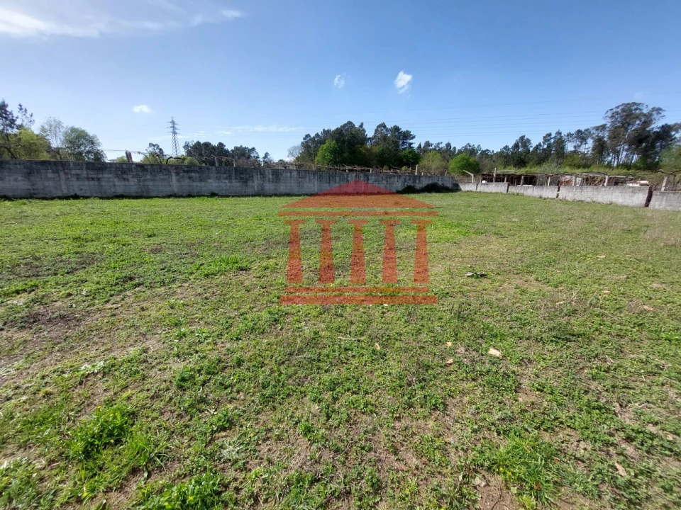 Terreno para Venda em Ucha Foto 3