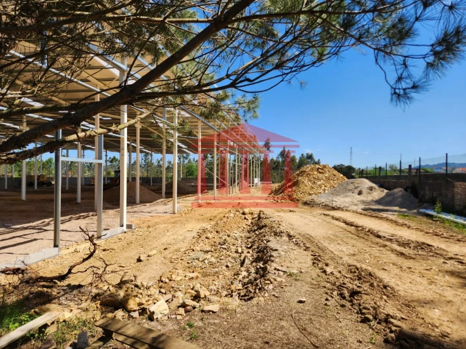 Armazém para Venda em Barcelos, V.Boa, V.Frescainha Foto 12