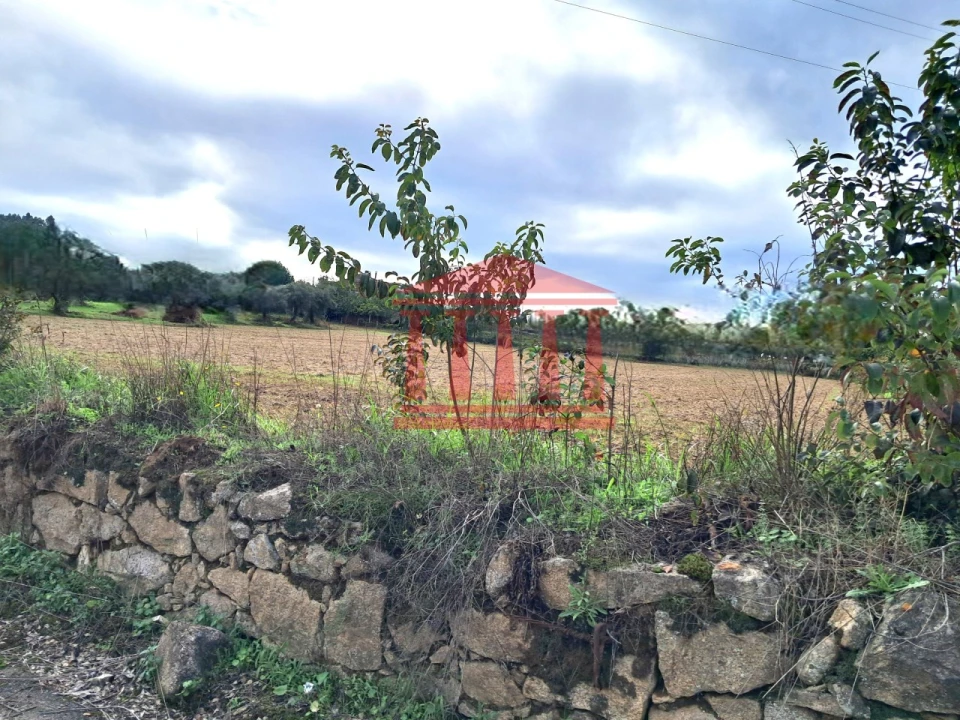 Terreno para Venda em Alheira e Igreja Nova Foto 5
