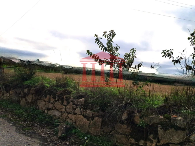 Terreno para Venda em Alheira e Igreja Nova Foto 4