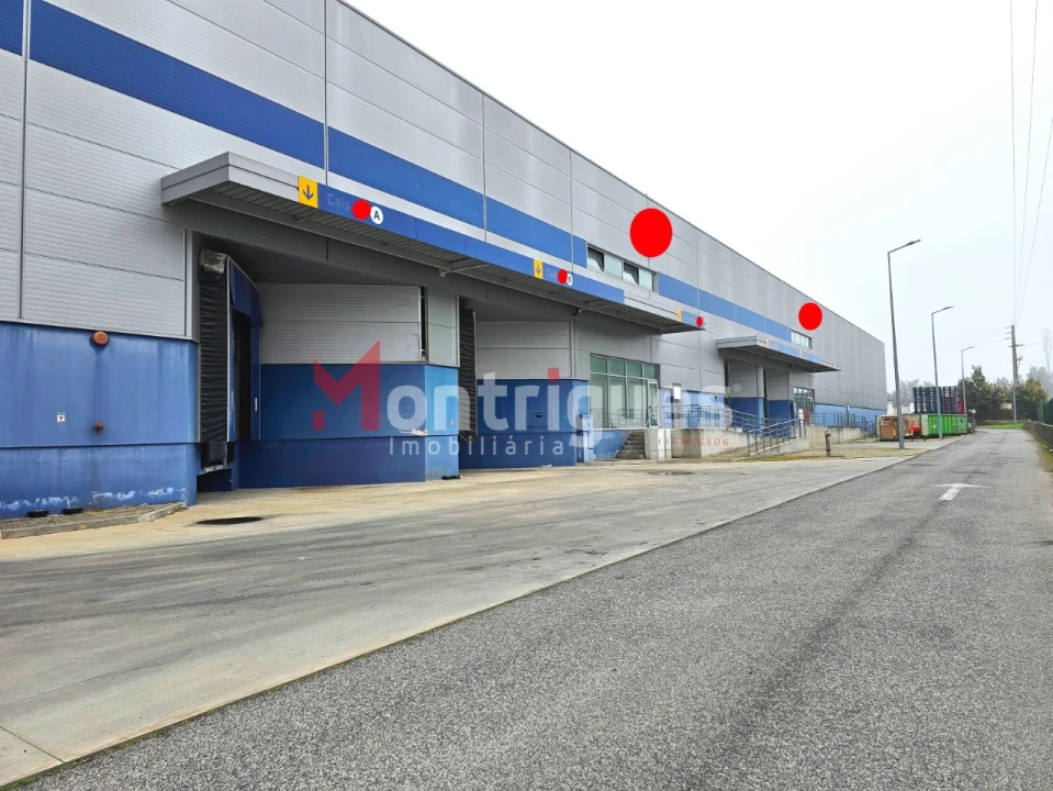 Armazém para Arrendamento em Benavente Foto 13