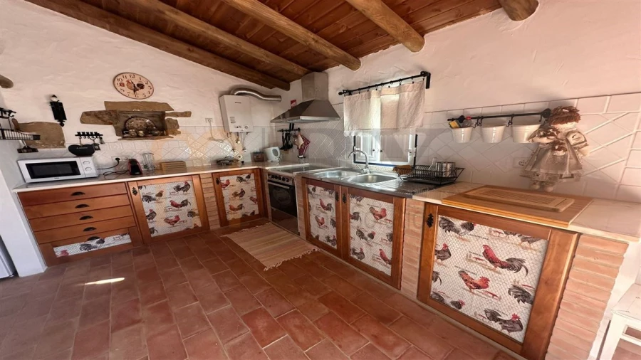 Quinta T7 para Venda em São Miguel do Pinheiro, São Pedro de Solis, São Sebastião dos Carros Foto 7