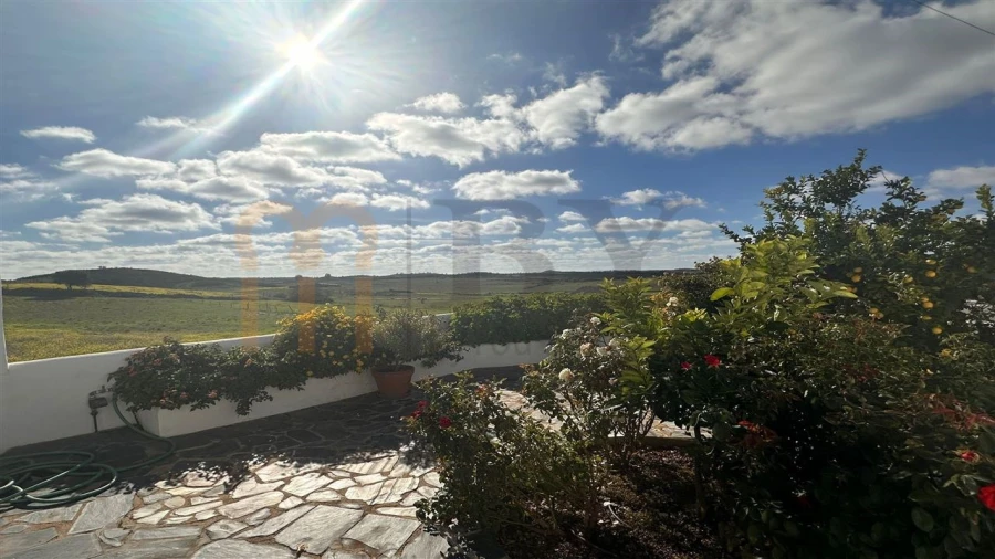 Quinta T7 para Venda em São Miguel do Pinheiro, São Pedro de Solis, São Sebastião dos Carros Foto 25
