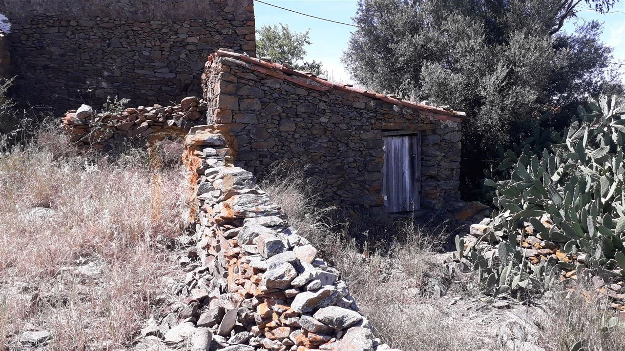 Quinta para Venda em Espirito Santo Foto 6