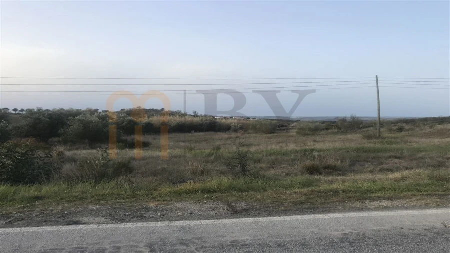 Terreno para Venda em Mertola Foto 8