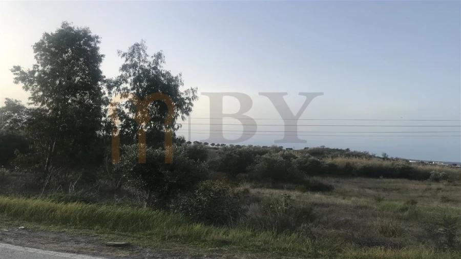 Terreno para Venda em Mertola Foto 9