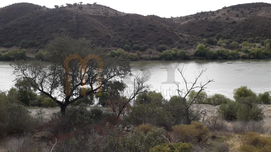 Terreno Agricola ou Rústico para Venda em Santana de Cambas Foto 3