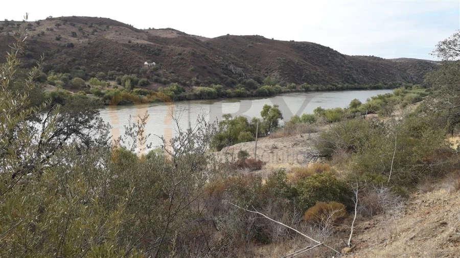 Terreno Agricola ou Rústico para Venda em Santana de Cambas Foto 2