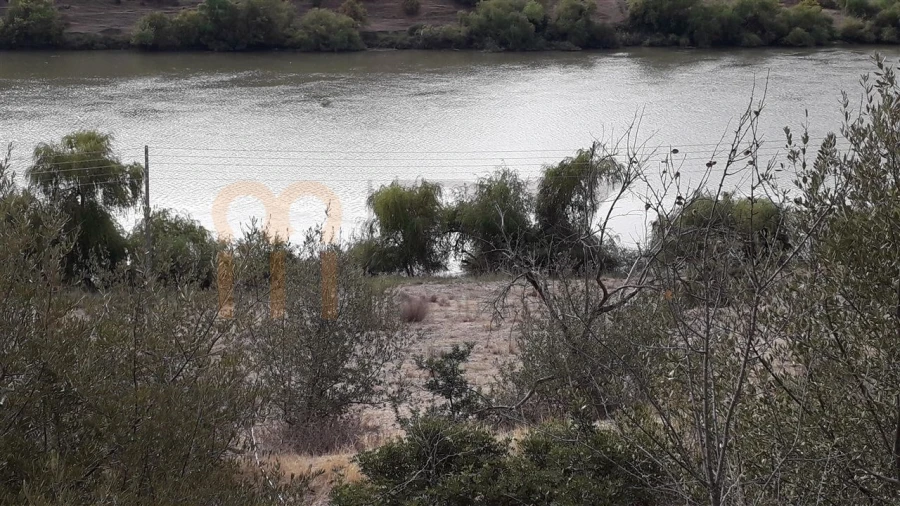 Terreno Agricola ou Rústico para Venda em Santana de Cambas Foto 1