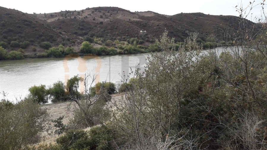 Terreno Agricola ou Rústico para Venda em Santana de Cambas Foto 6