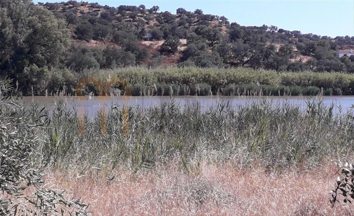 Terreno Agricola ou Rústico para Venda em Alcoutim e Pereiro Foto 1