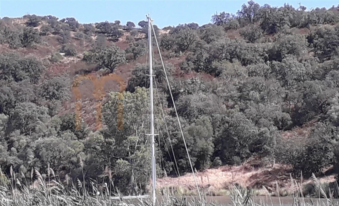 Terreno Agricola ou Rústico para Venda em Alcoutim e Pereiro Foto 2