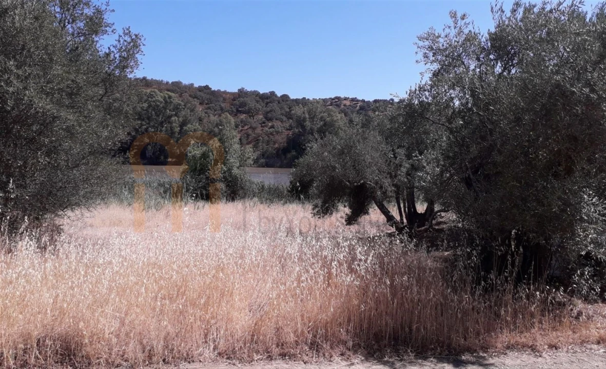 Terreno Agricola ou Rústico para Venda em Alcoutim e Pereiro Foto 5