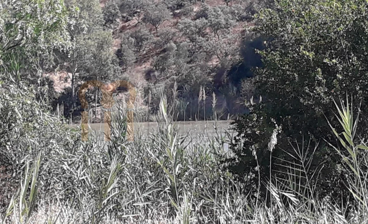Terreno Agricola ou Rústico para Venda em Alcoutim e Pereiro Foto 7