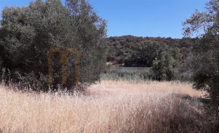 Terreno Agricola ou Rústico para Venda em Alcoutim e Pereiro Foto 3