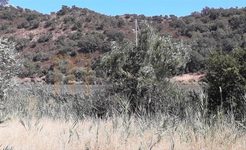 Terreno Agricola ou Rústico para Venda em Alcoutim e Pereiro Foto 6