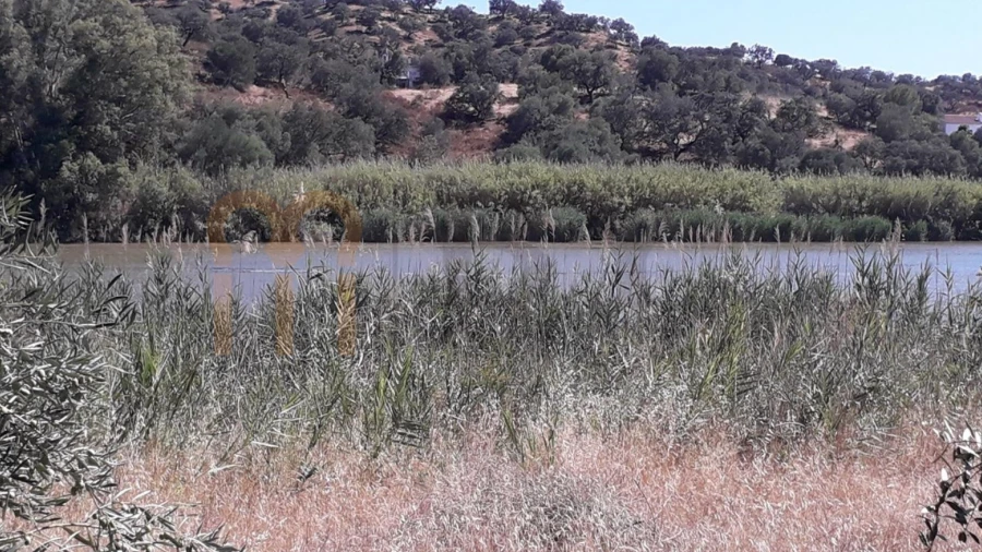 Terreno Agricola ou Rústico para Venda em Alcoutim e Pereiro