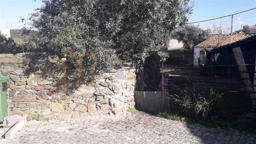 Terreno para Venda em São Miguel do Pinheiro, São Pedro de Solis, São Sebastião dos Carros Foto 3