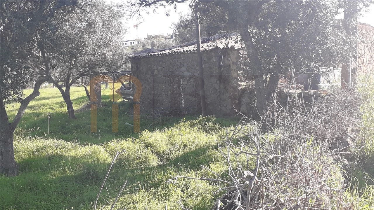 Terreno para Venda em São Miguel do Pinheiro, São Pedro de Solis, São Sebastião dos Carros Foto 1
