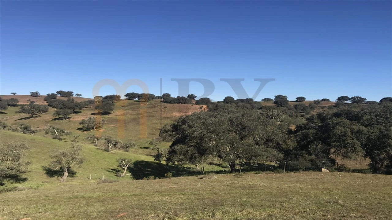 Quinta para Venda em Santana de Cambas Foto 8