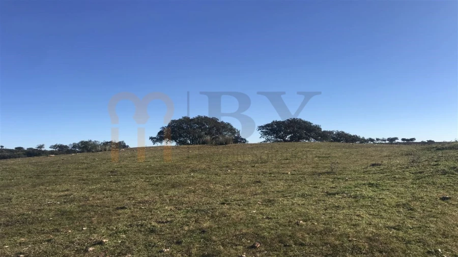 Quinta para Venda em Santana de Cambas Foto 7