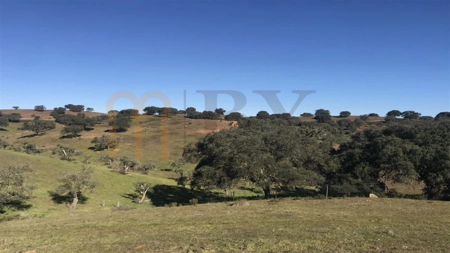 Quinta para Venda em Santana de Cambas Foto 8