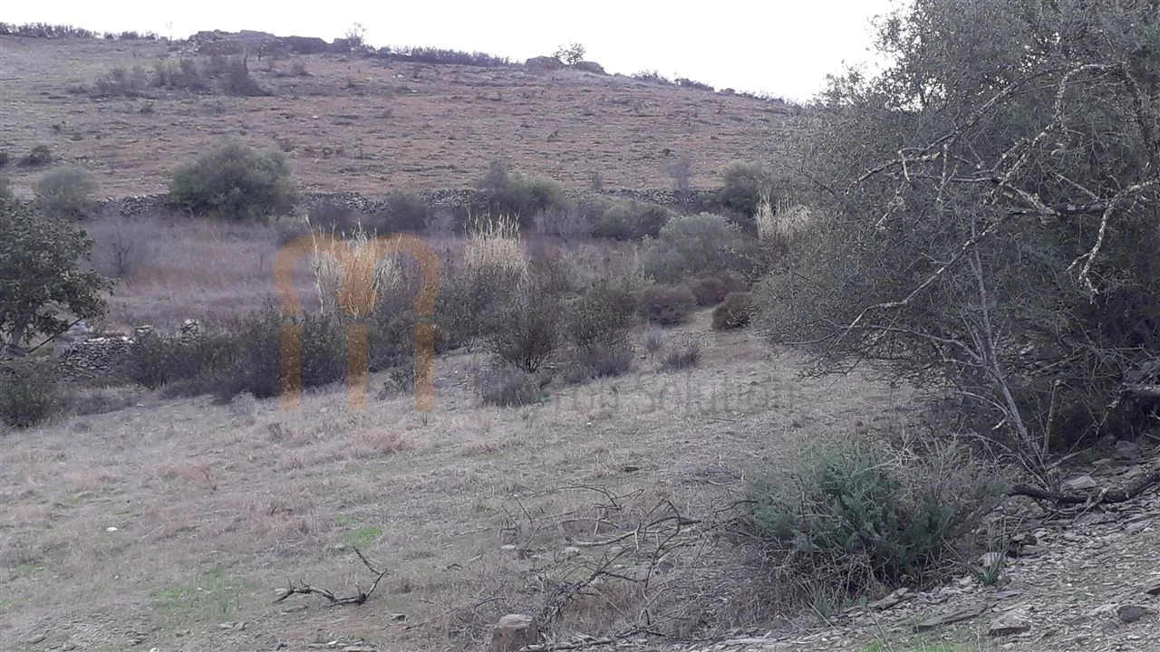 Terreno Agricola ou Rústico para Venda em Espirito Santo Foto 3