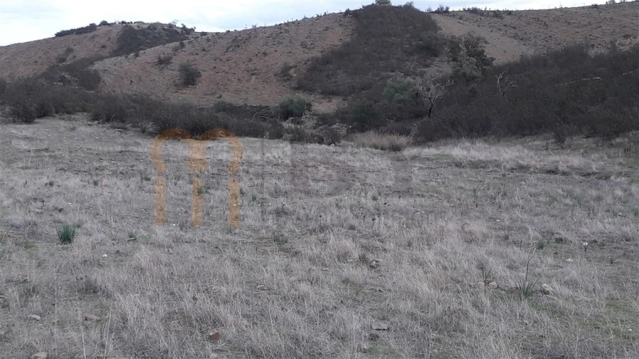 Terreno Agricola ou Rústico para Venda em Espirito Santo Foto 6