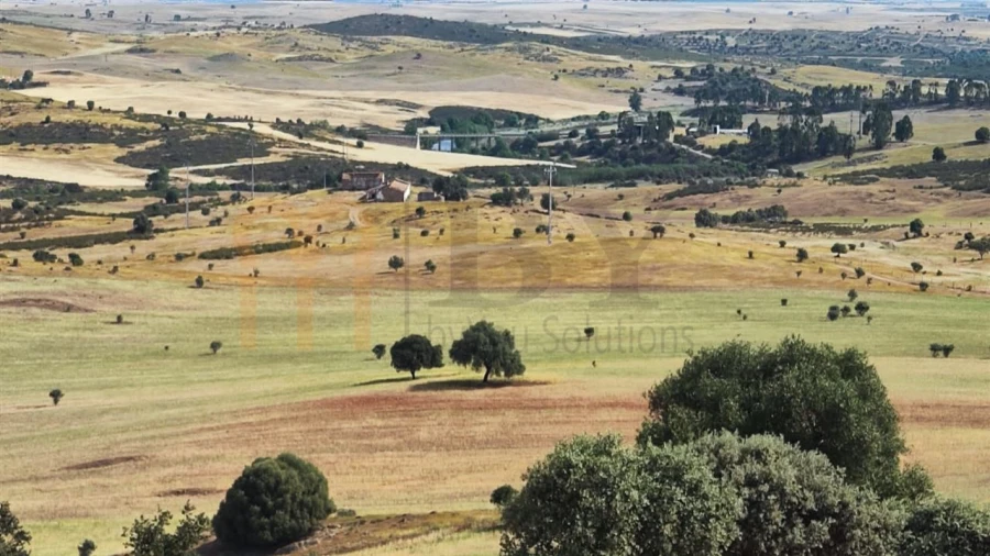 Quinta para Venda em Castro Verde e Casével Foto 3