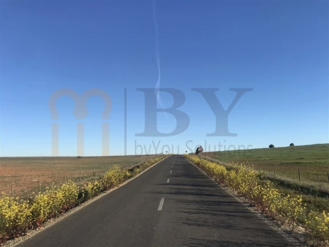 Terreno Agricola ou Rústico para Venda em Alcaria Ruiva Foto 3