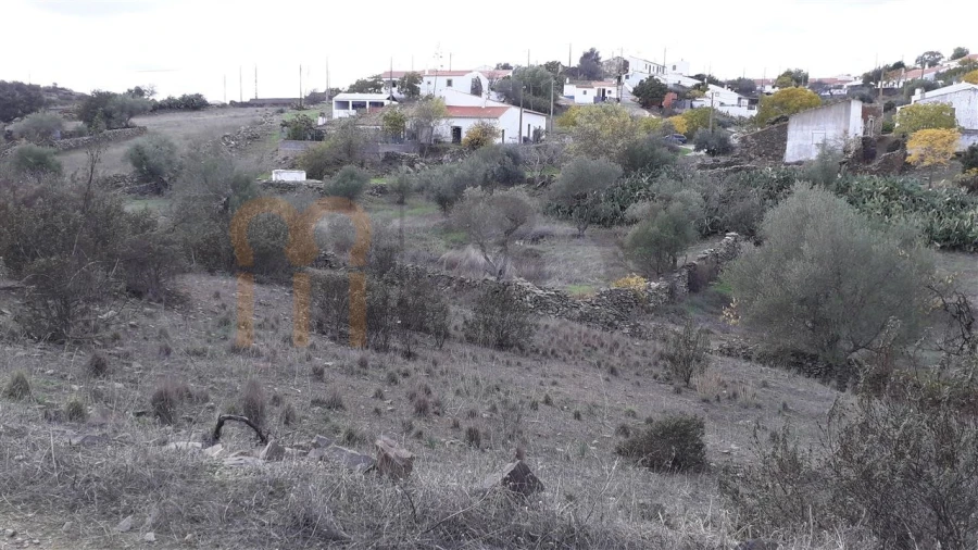 Terreno Agricola ou Rústico para Venda em Espirito Santo Foto 2