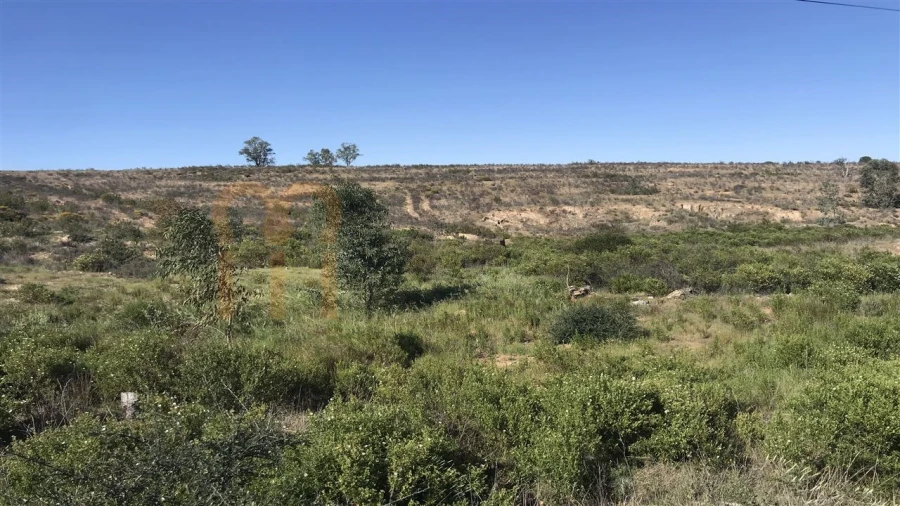 Terreno Agricola ou Rústico para Venda em Santana de Cambas Foto 3